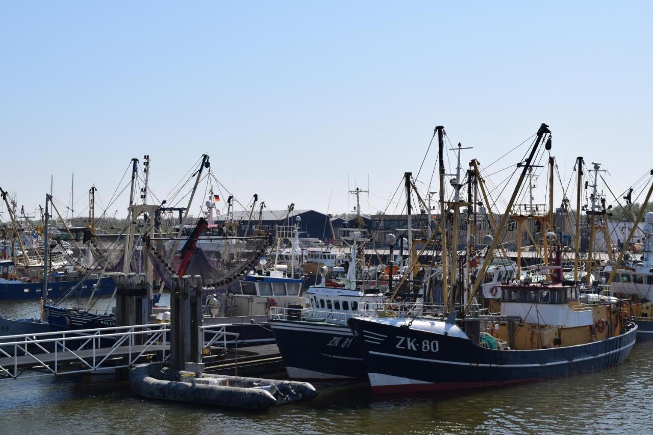 Ee"Het Steechje" In Ie Bij Schiermonnikoog En Amelandアパートメント エクステリア 写真