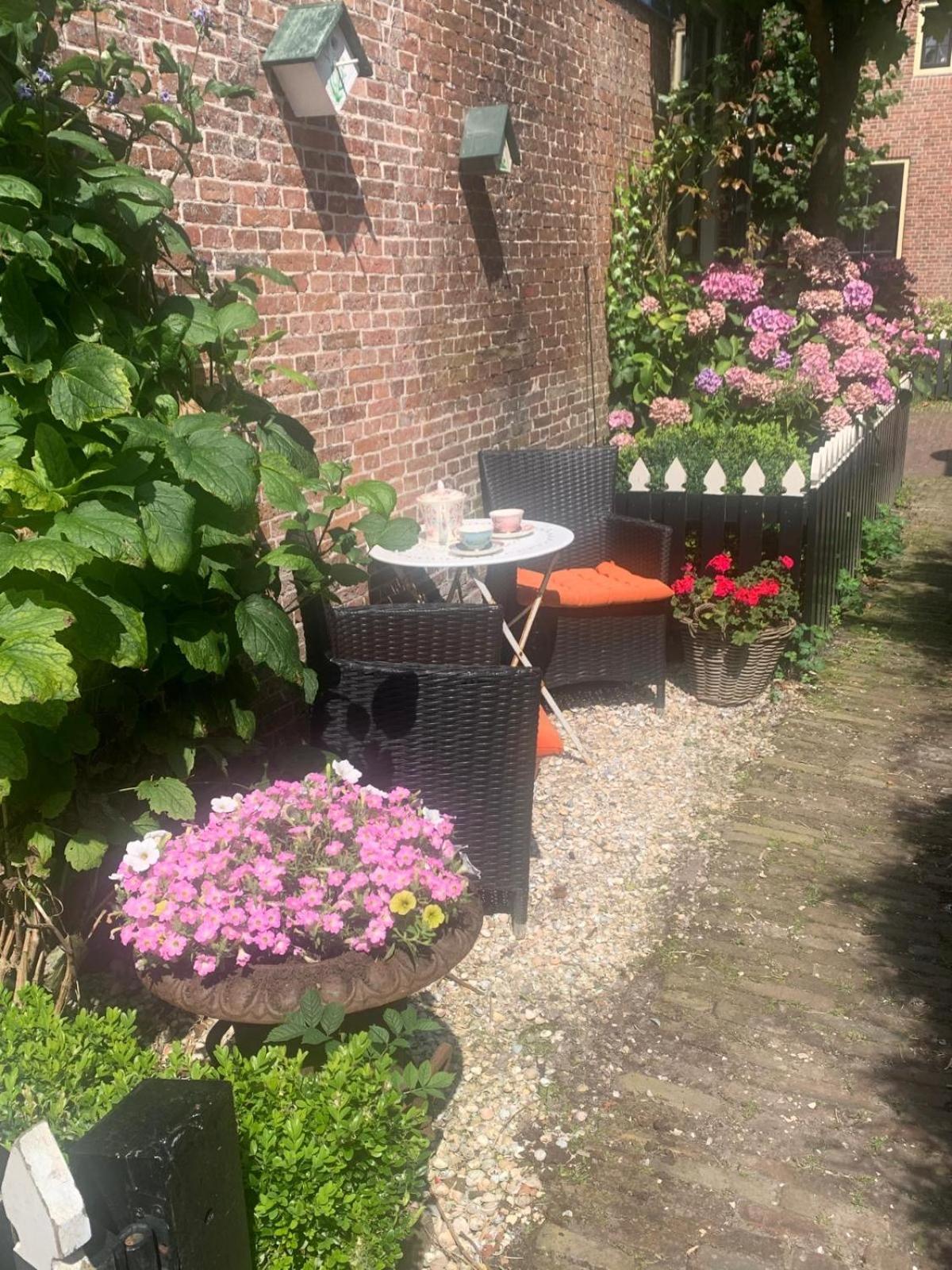 Ee"Het Steechje" In Ie Bij Schiermonnikoog En Amelandアパートメント エクステリア 写真