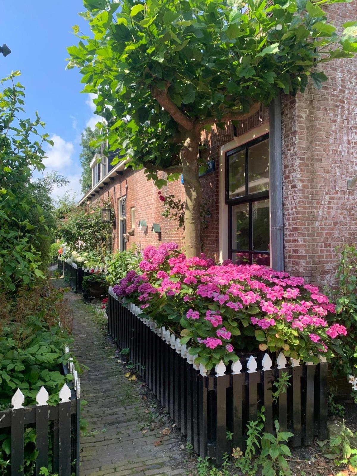 Ee"Het Steechje" In Ie Bij Schiermonnikoog En Amelandアパートメント エクステリア 写真